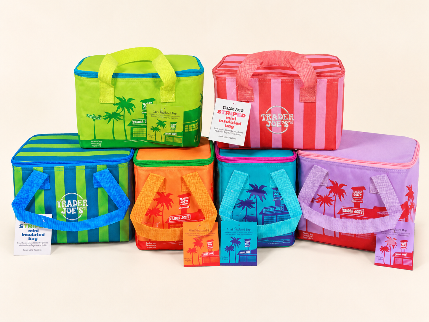 Trader Joe's Mini Insulated Tote Bag