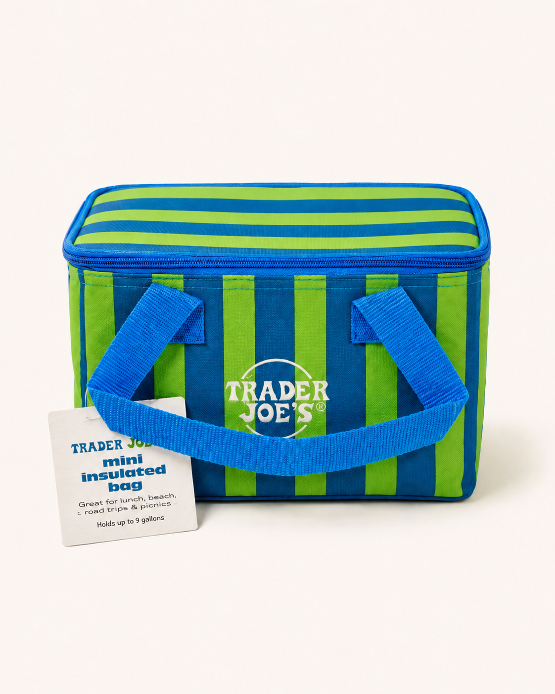 Trader Joe's Mini Insulated Tote Bag