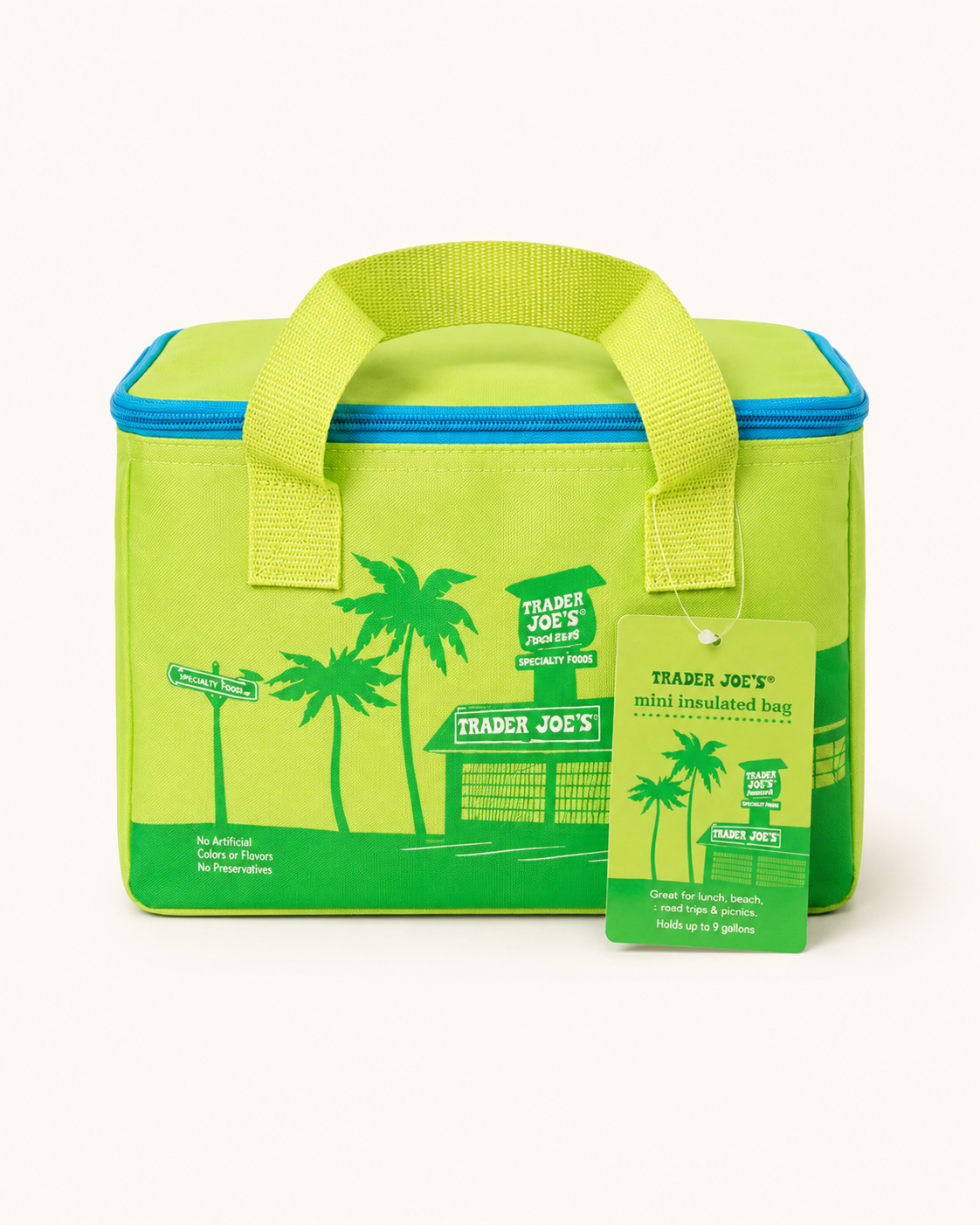 Trader Joe's Mini Insulated Tote Bag