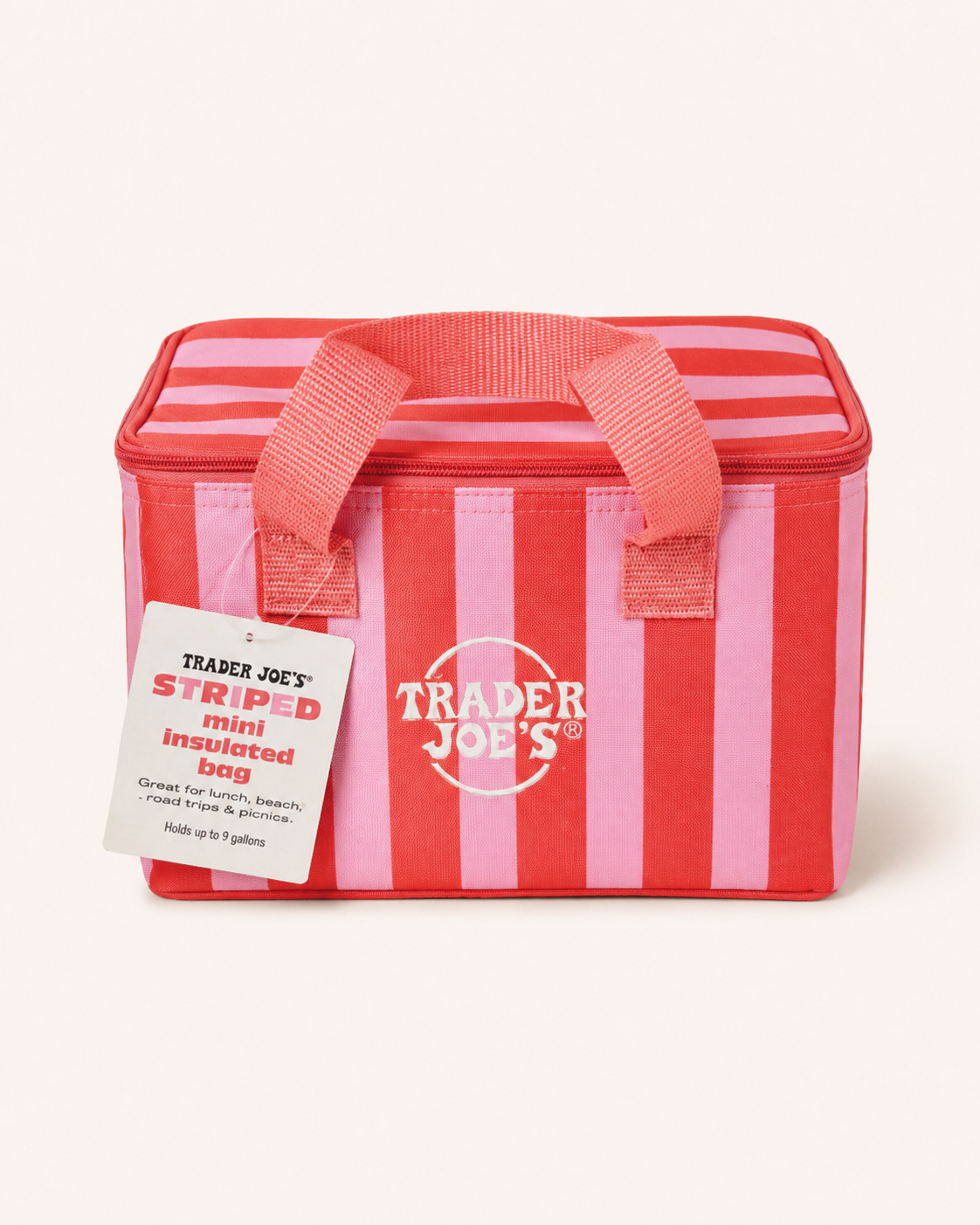 Trader Joe's Mini Insulated Tote Bag